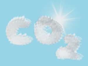 Kas toruotsast paistab roheline tulevik?