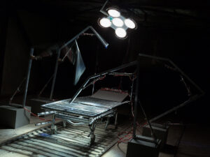 Eha Komissarov: &bdquo;N&uuml;&uuml;disaja &otilde;udus on labaselt reaalne&rdquo;