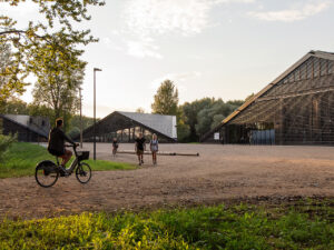 Linnaruumikolumn: Nüüdisaja linn vajab ka meistreid