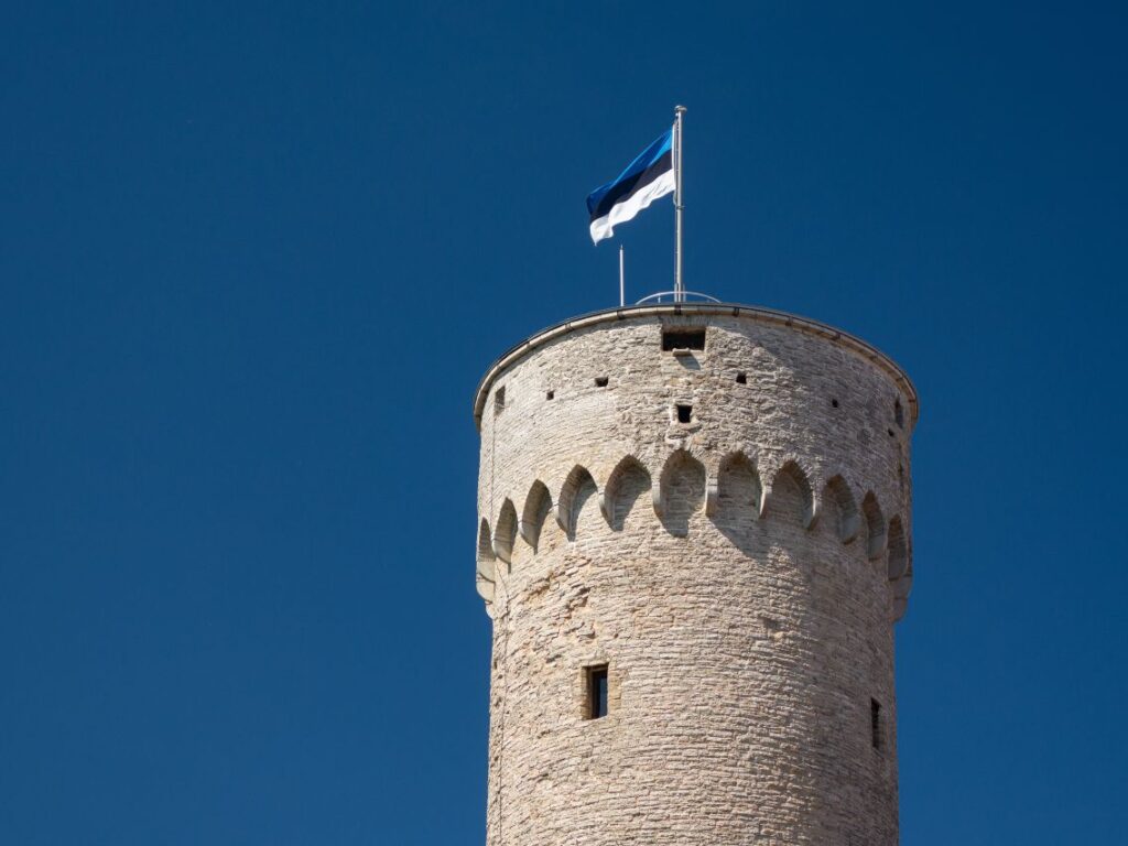 Riigimale – kuidas näha paremaid käike?