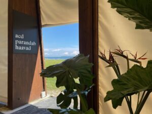 Müürilehe kultuurikalender juulis – kuhu minna, mida teha?