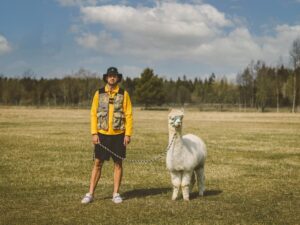 Müürilehe kultuurikalender – piirangute kiuste augustis