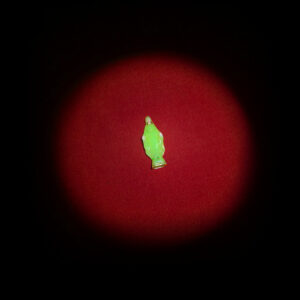 POLLU77E – Godspeed! (Internet Cafe, 2021)