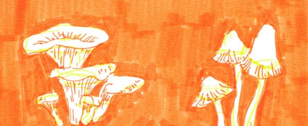 Eksistentsialism ja ekstaas. Seenelkäik kui rekreatiivne mõttepaus