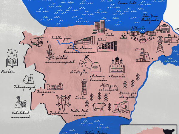Ida-Virumaa mitukümmend nägu