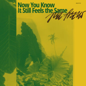 Pia Fraus – Now You Know It Still Feels the Same (Seksound, 2021)