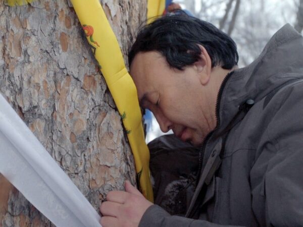 Sahhawood ehk Polaarrahvaste värskest filmiliikumisest