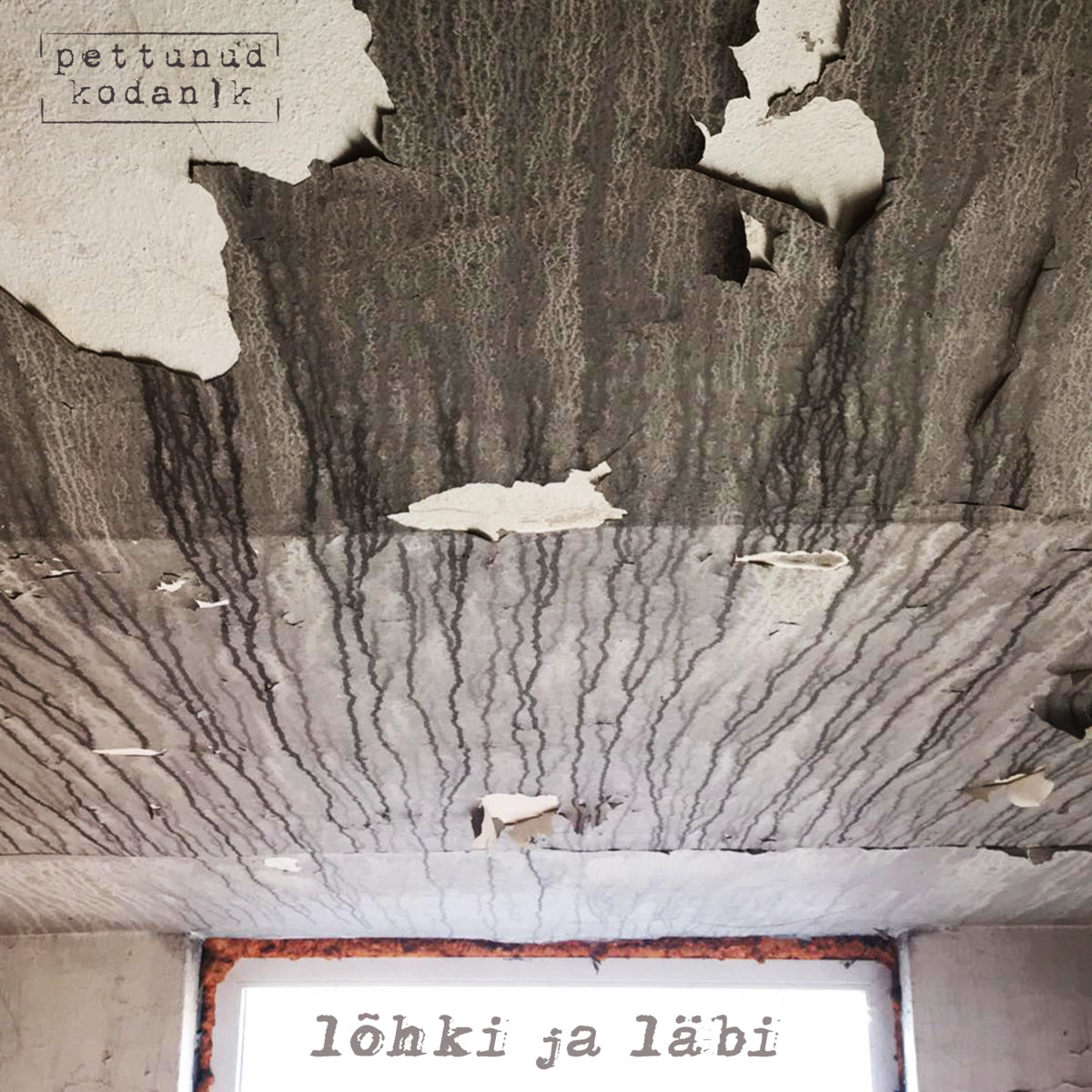 Pettunud Kodanik – lõhki ja läbi (2021)