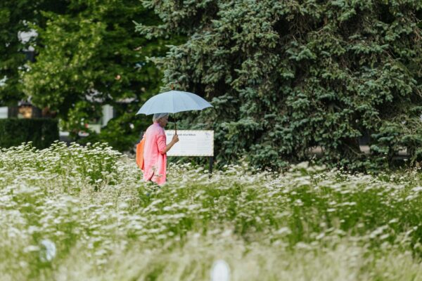 Linnaruumikolumn: Looduse kroon end kliimamuutuse eest ei kaitse