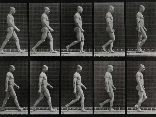 Jalak&auml;ija &ndash; t&uuml;likas liikleja v&otilde;i t&auml;henduslik uitaja