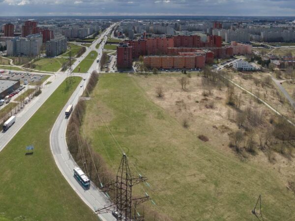 Rohelised ebavõrdsused