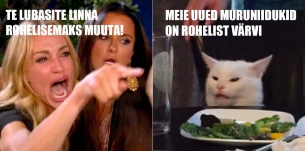 Linnaruumikolumn: Niit v&otilde;i niiduk ehk M&otilde;istlikuma haljastuspoliitika ootuses