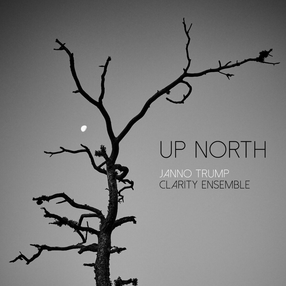 Janno Trump Clarity Ensemble – Up North (2022)