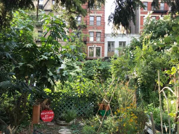 Kogukonnaaed – pehme ja roheline, poliitiline ja radikaalne