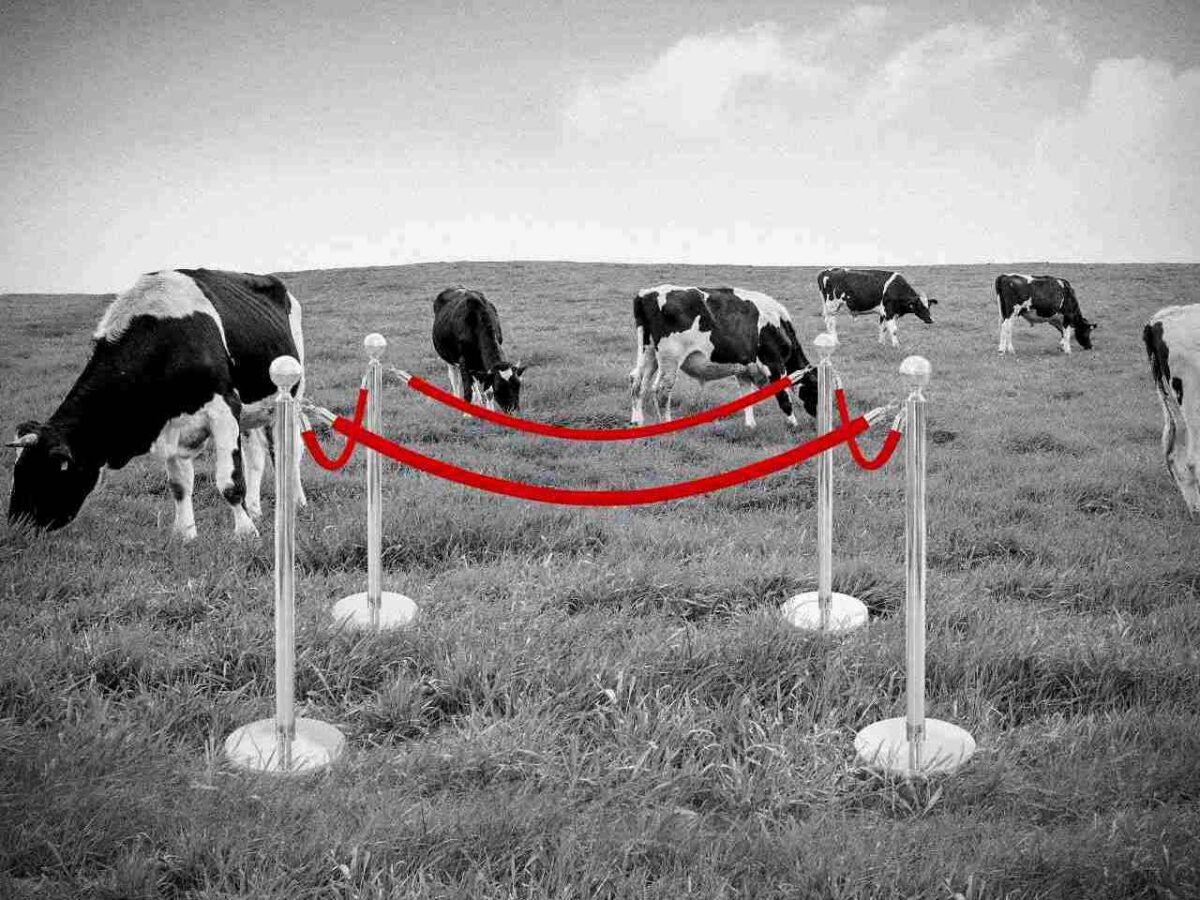 Puust ja punaseks: green grabbing