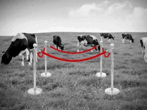 Puust ja punaseks: green grabbing