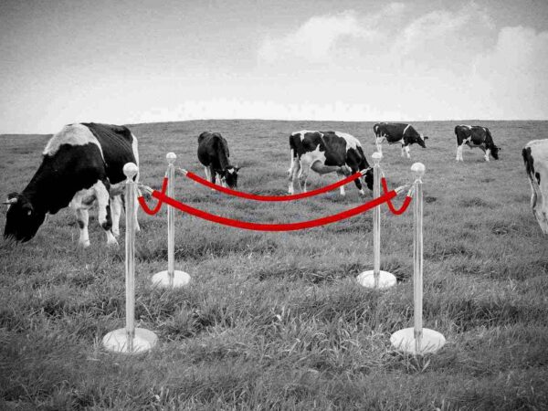 Puust ja punaseks: green grabbing