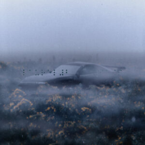 Laurel 2 – Kasutu (Vegan Beef, 2023)