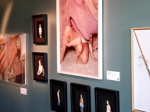 Fotospurt: Udused lained*