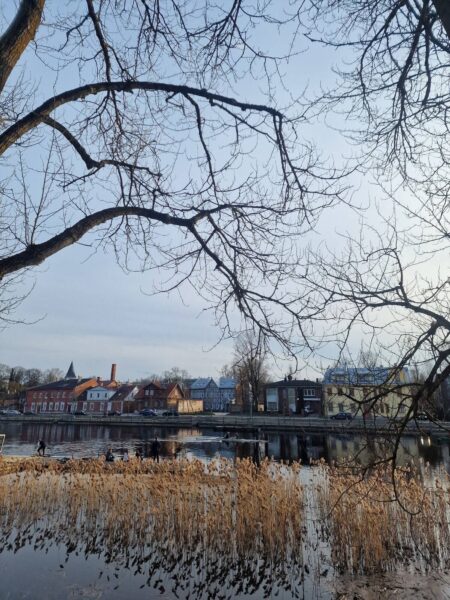 Roheline päevaraamat – kuidas püüda purki jahe kevadõhk