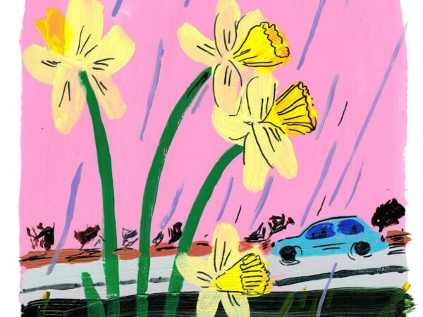 Piret Jaaksi proosa: Nartsissistlik haav