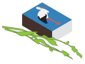 Luule: Janika Läänemets