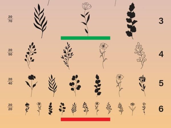 Taimepimedus ehk See roheline mass seal  servas