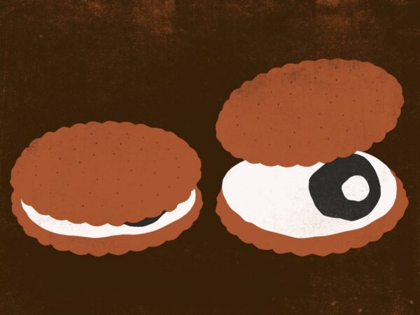 Privaatsusküüniku pihtimused