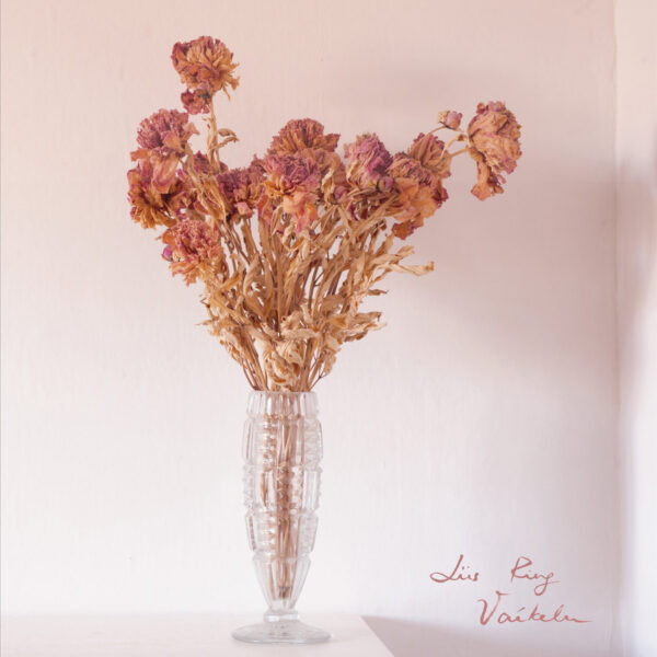 Liis Ring – Vaikelu (Õunaviks, 2023)