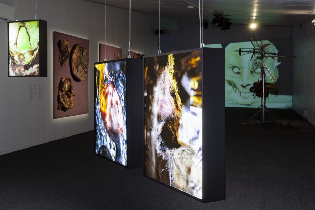 Kunstispurt: Ärevust tekitava pinnavirvenduse süvauuringud