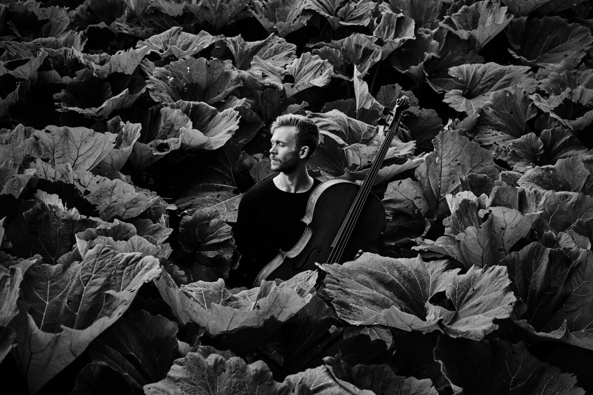 Kiirkohting: Theodor Sink