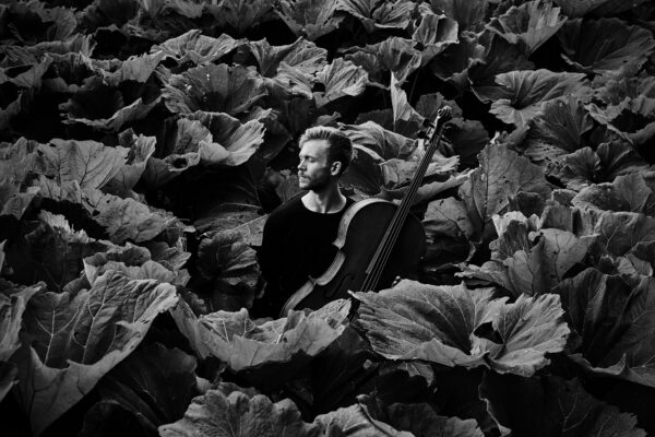 Kiirkohting: Theodor Sink