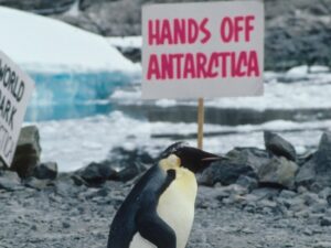Keskkonnaorganisatsioonid p&auml;&auml;stsid kord Antarktika &ndash; kas ka n&uuml;&uuml;d?