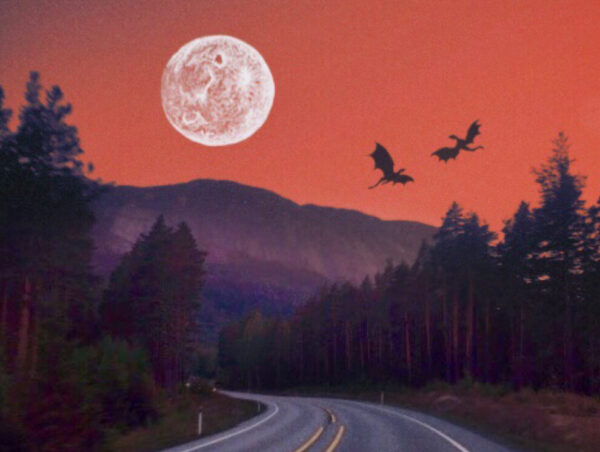 Poolring – Dragons (2024)