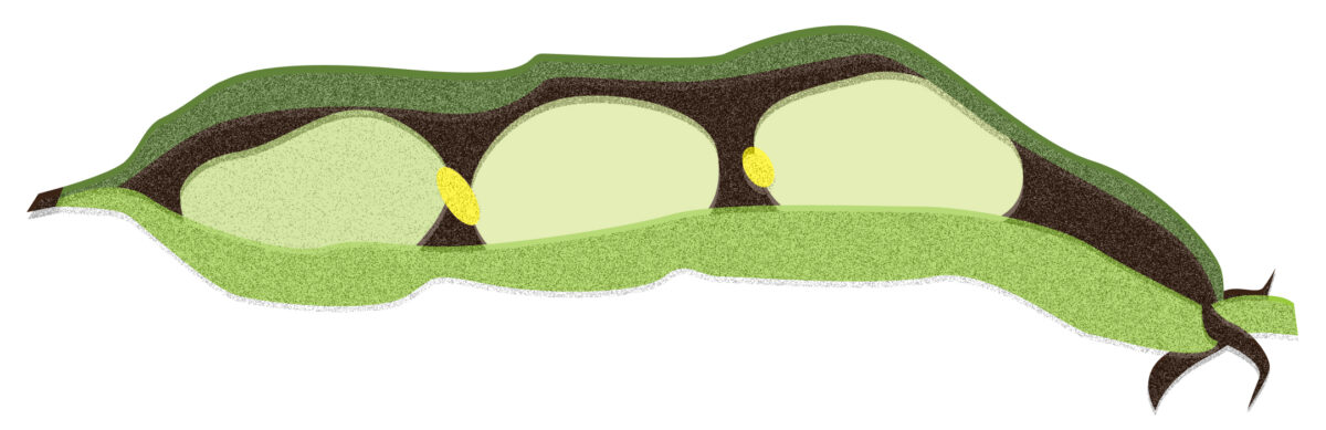 Luule: Ivars Šteinbergs