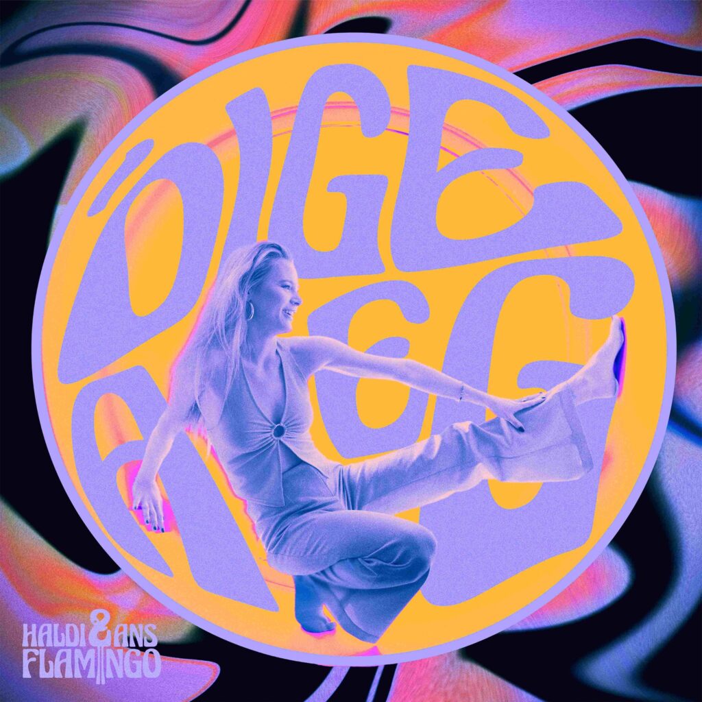 Haldi & ans Flamingo – Õige aeg (Funk Embassy, 2024)