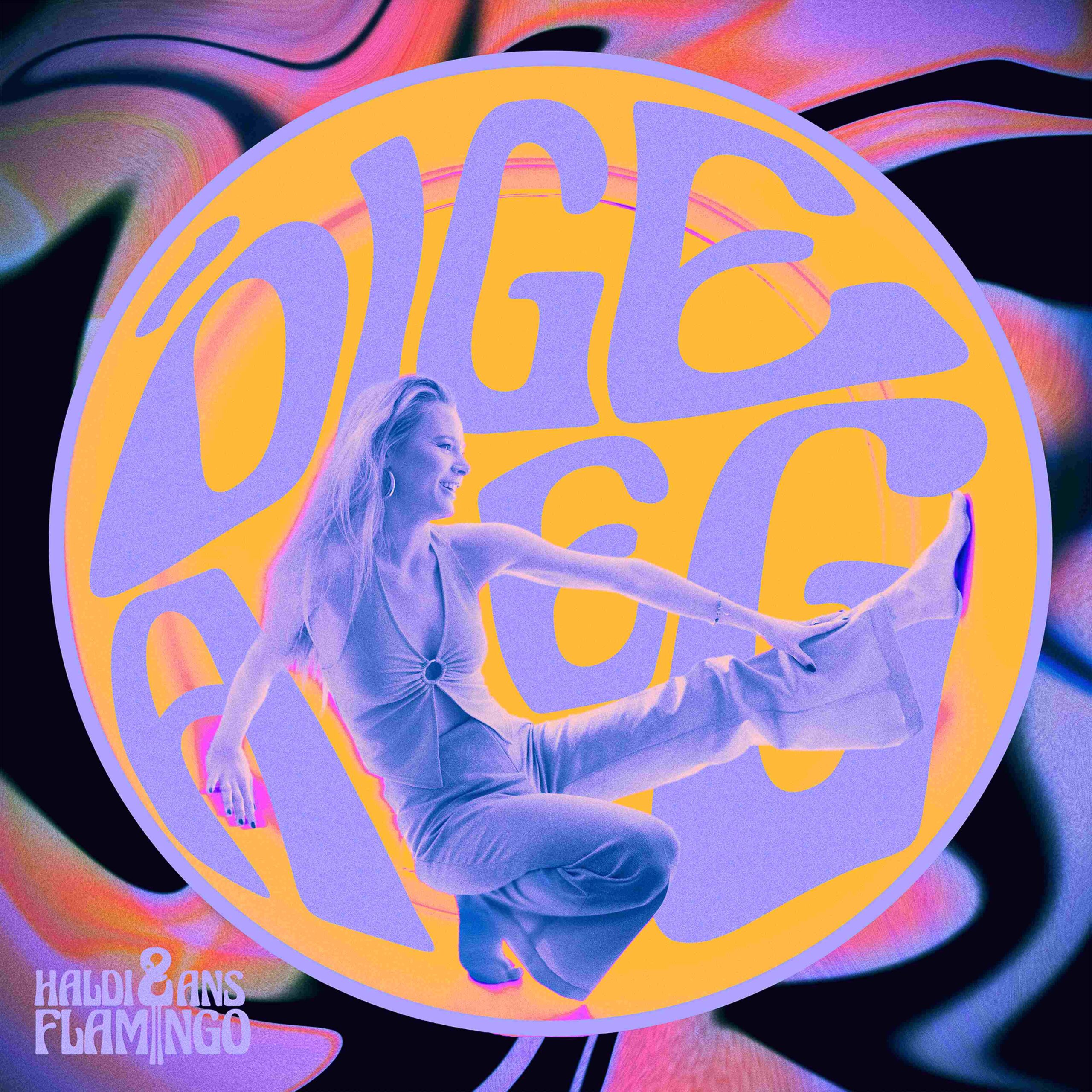 Haldi & ans Flamingo – Õige aeg (Funk Embassy, 2024)