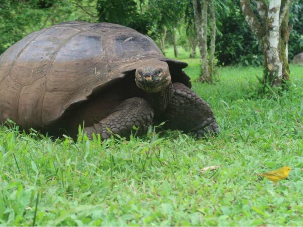 Keskkonnailukirjandusega r&auml;ndamas