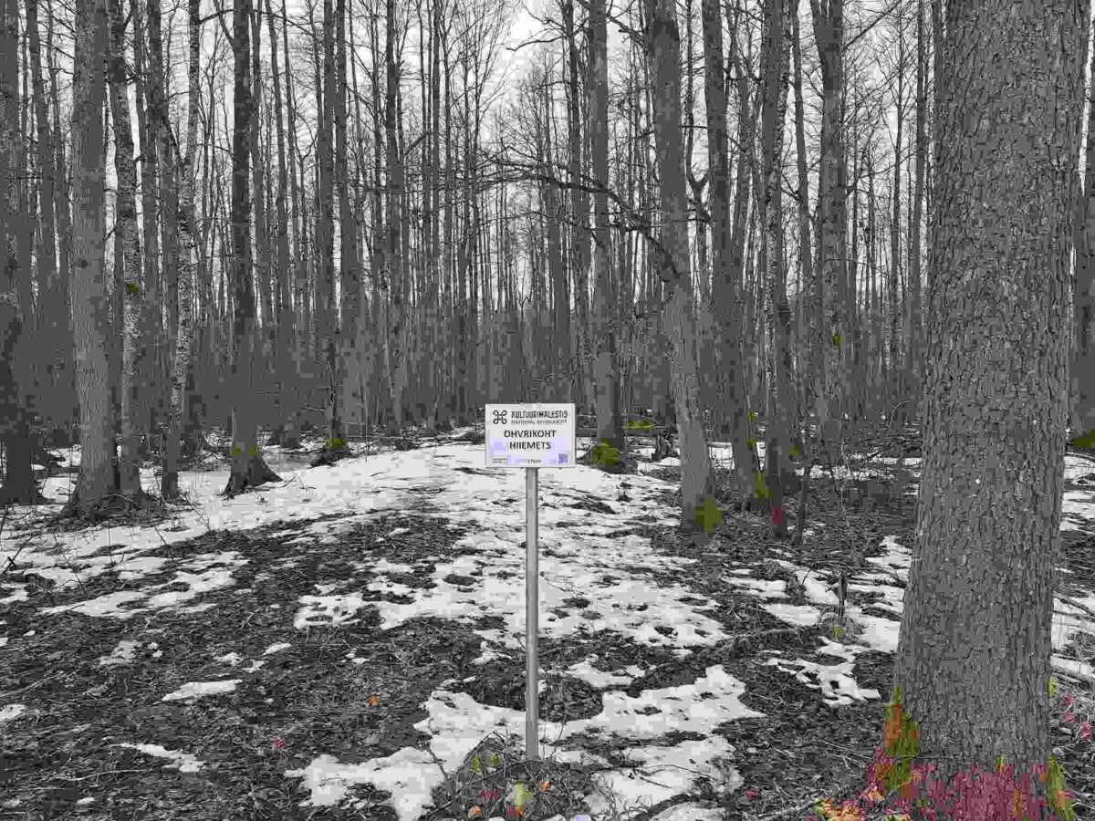 Miks ja kuidas kaitsta looduslikke pühapaiku?