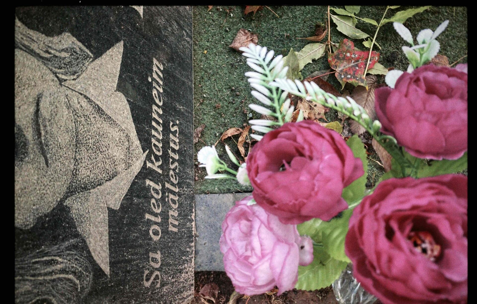 Fotoessee: Kalmukroonika ehk Sõbrannadega surnuaias