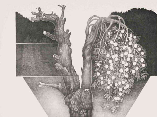 Eesti keskkonnaliikumiste unustatud peatükk