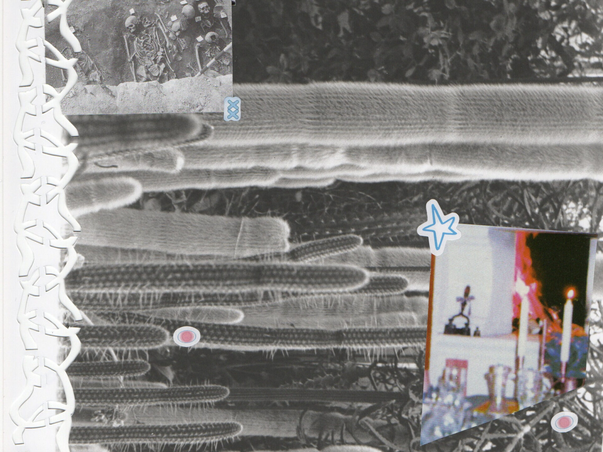 Luule: Saara Lotta Linno