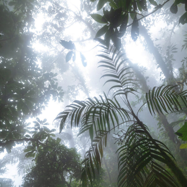 Lauri Lest – Undercurrents (2025)