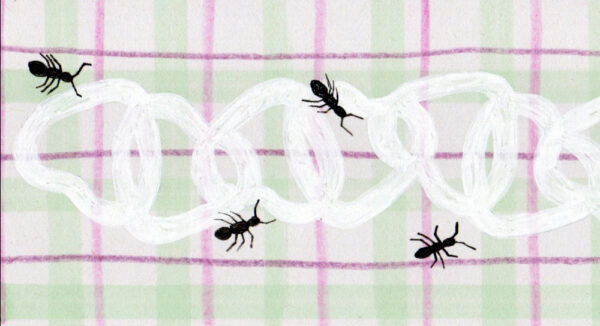 Luule: Berit Petolai