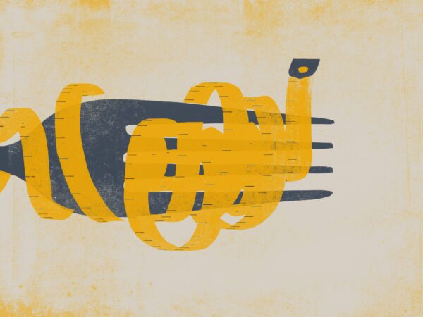 Kaardistades isutu maailma kontuure