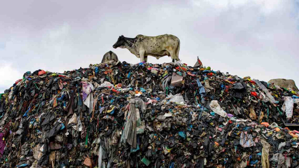 Riidemäed ja tekstiilijõed ehk Heaolu pahupool