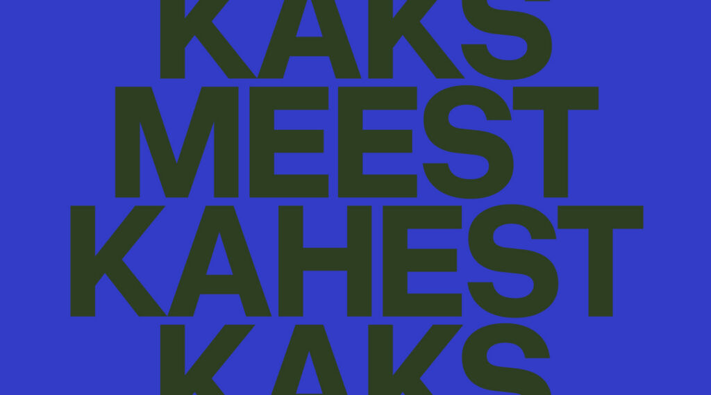 Kaks meest kahest kaks