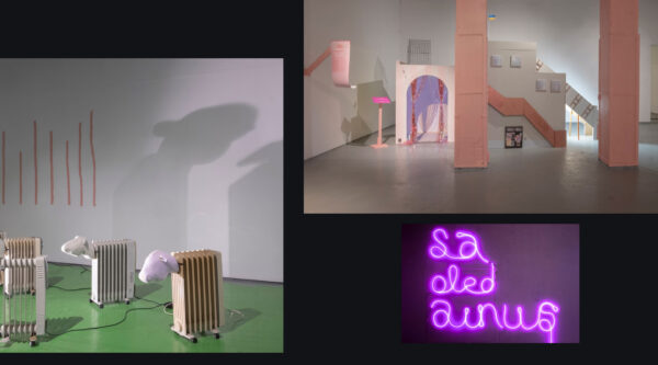 Kolm arvustust ENKKLi n&auml;itusest EKKMis