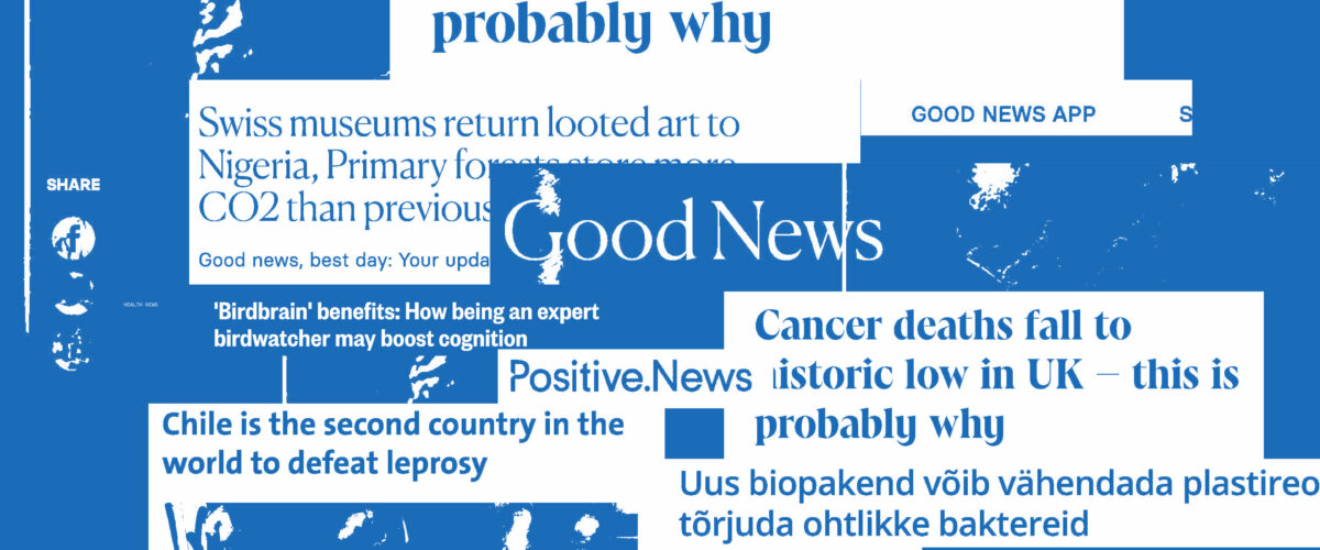 Toksilise optimisti lehekülg