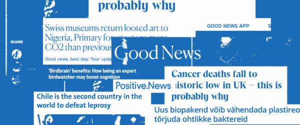 Toksilise optimisti lehek&uuml;lg